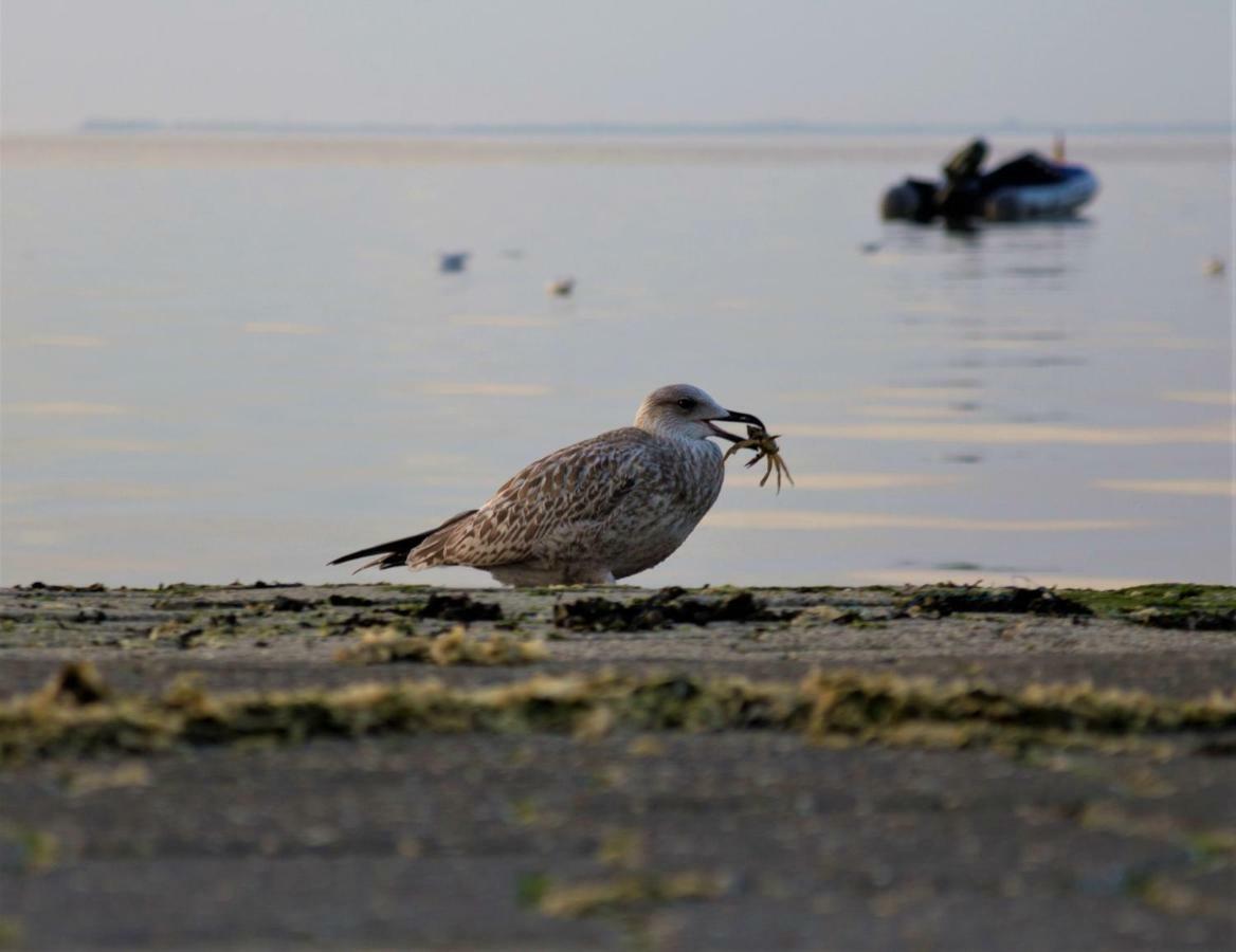 Romantischer Winkel Neuharlingersiel Zewnętrze zdjęcie